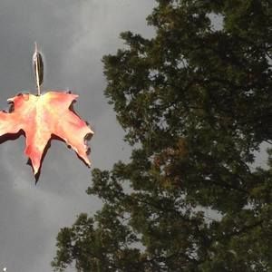 Meet your Posher, Shirlee